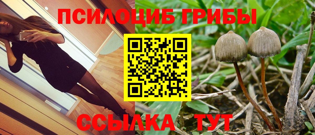 Шелехов  где купить   Галлюциногенные грибы GOLDEN TEACHER  Вход с VPN  Псилоцибиновые грибы Psilocybine cubensis 