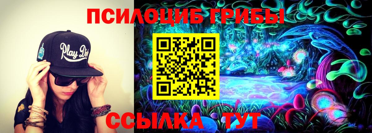 Псилоцибиновые грибы Psilocybe Шелехов